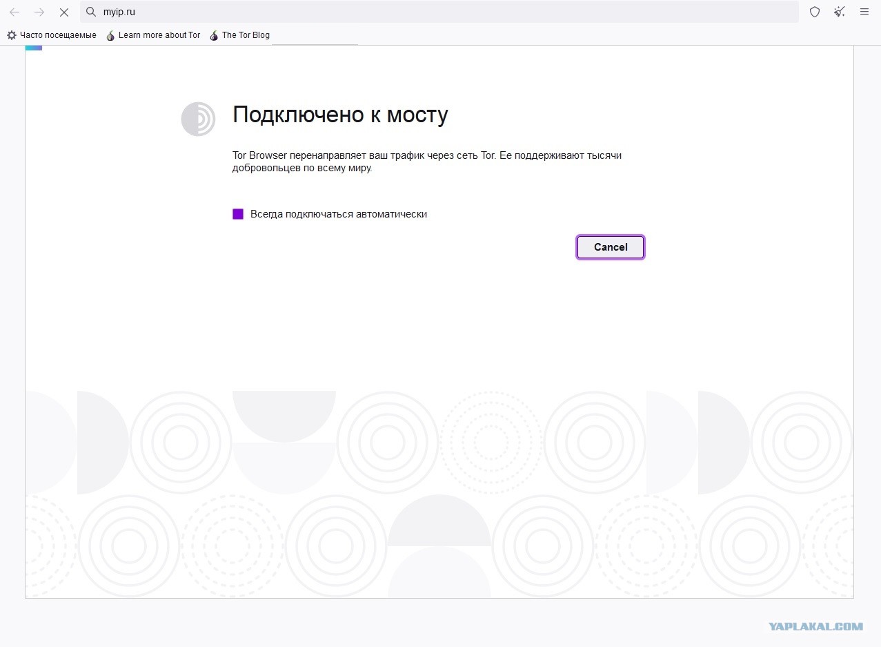 Ссылка в магазин на кракен