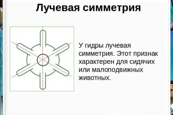 Ссылки для даркнета