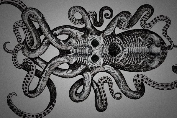Kraken20 at