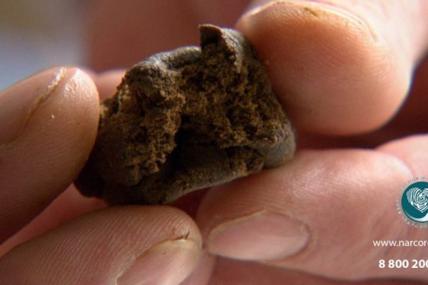 Кракен тор store