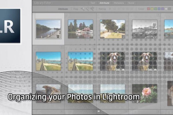 Дарк нет кракен