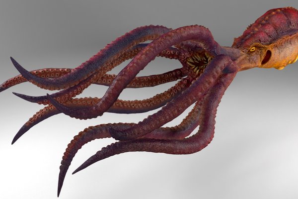 Kraken com darknet