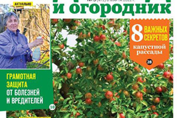 Как найти кракен в торе