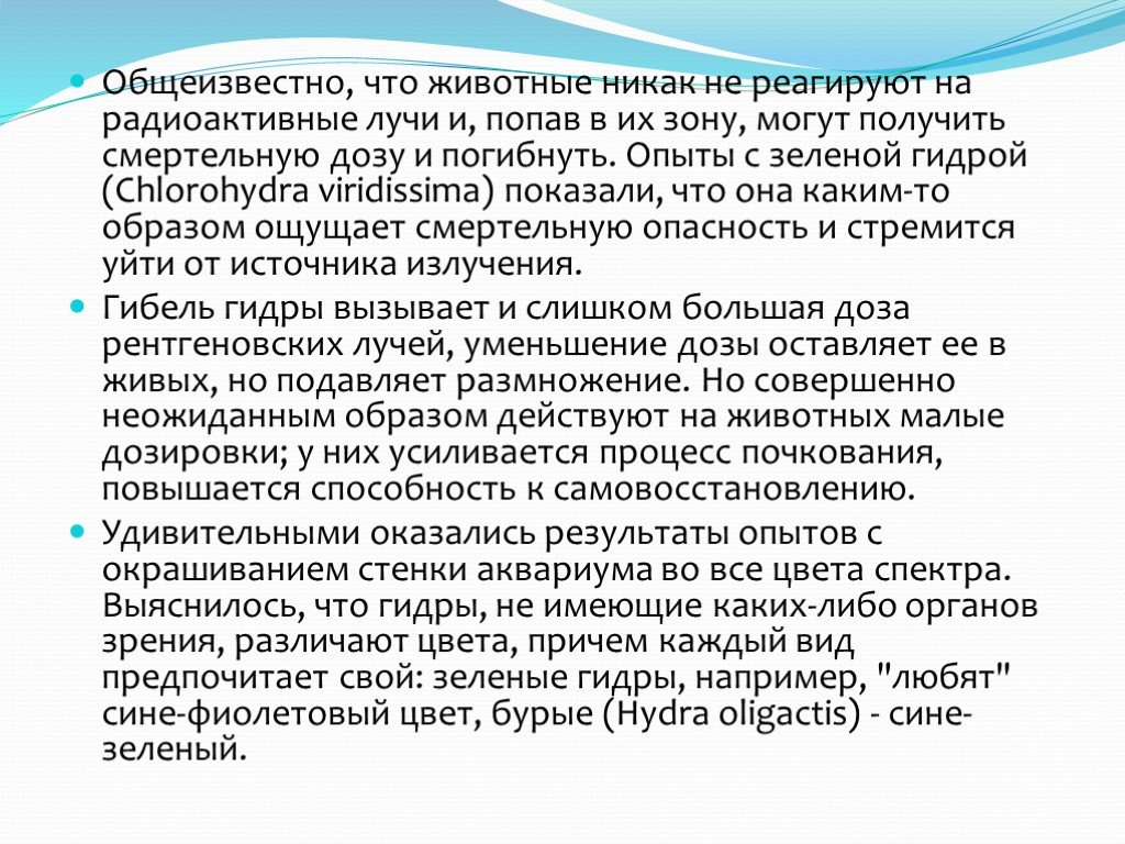 Kraken at сайт